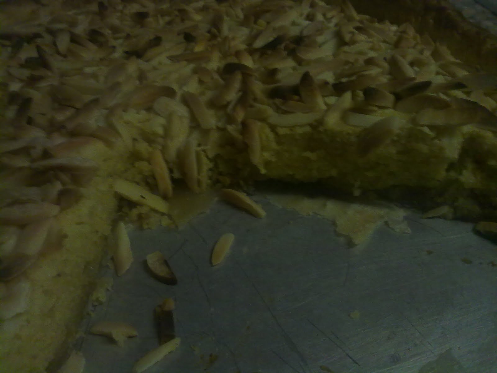 [24022010205[1].jpg]