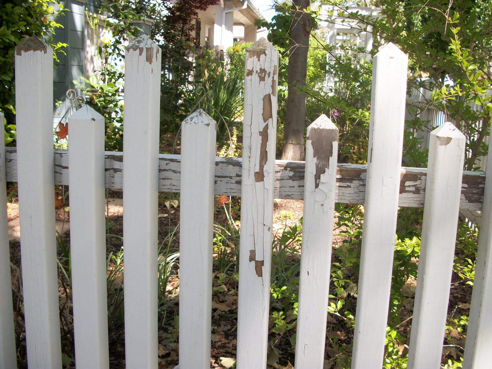 Architecture Trek White Picket Fences The Timeless Allure of Home