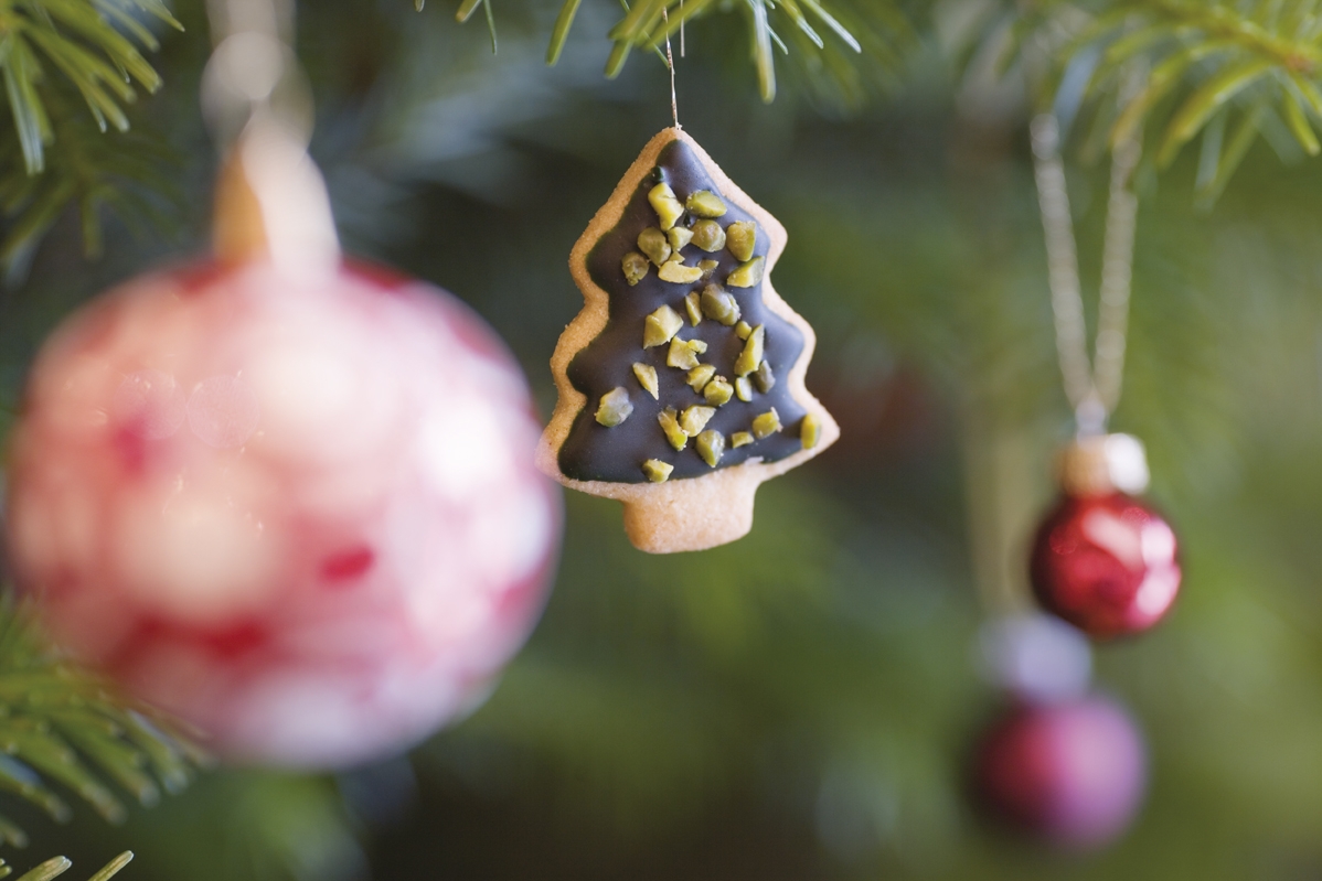 Lezzet Dedektifleri: Mövenpick Hotel Istanbul'da Yeni Yıla Unutulmaz