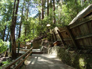trail+to+the+mystery+spot.jpg