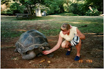 Gunvor och havssköldpadda i Kenya 1996