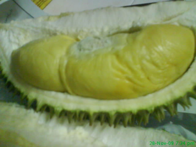 Forum Image: http://1.bp.blogspot.com/_zjgyrh2PJh4/SxEMKvSjiPI/AAAAAAAAAKM/kBGLEse8sp0/s1600/image-upload-7-725920.jpg