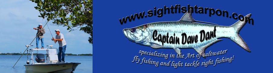 Captain Dave Dant - Sightfish Tarpon.com