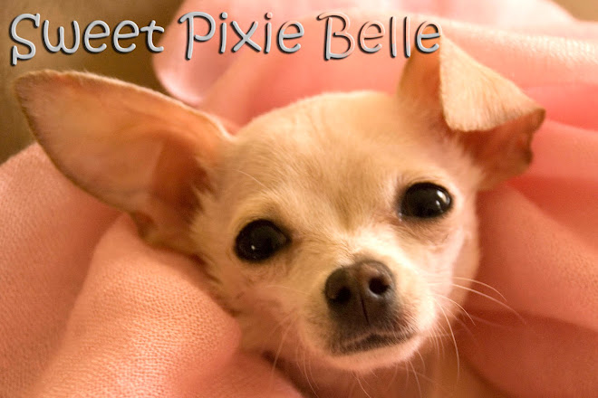 Pixie Belle