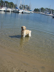 Water Dog II