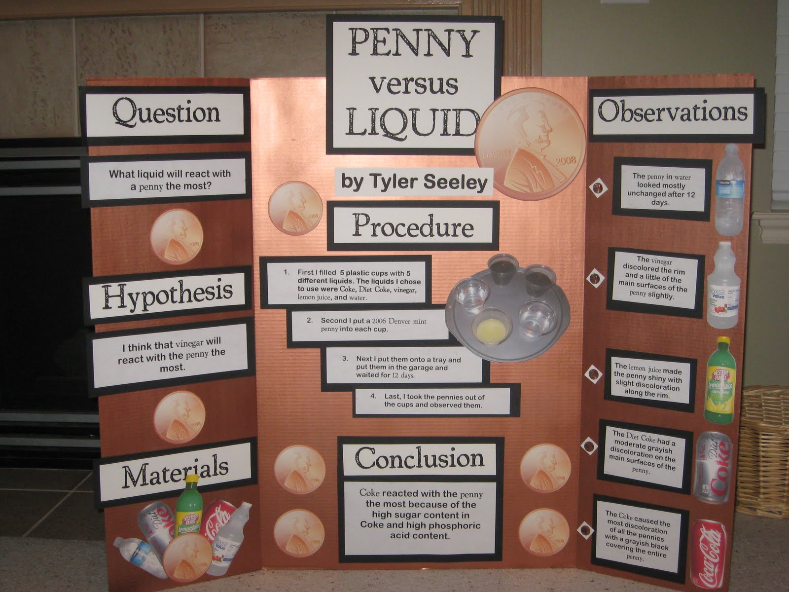 Science fair, Science fair projects and Fair projects on Pinterest