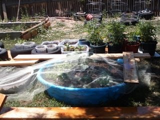 kids pool garden