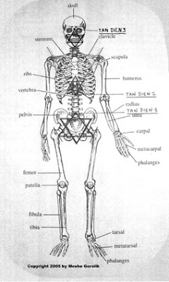 Human Skeleton jewish star