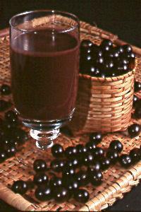 [ACAİ+MEYVESİ+VE+ACAİ+SUYU.JPG]