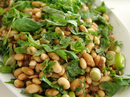 [Soya+fasulyesi.jpg]