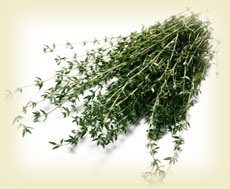 [kekik+faydaları.jpg]