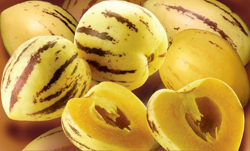 [pepino+meyvesi.jpg]