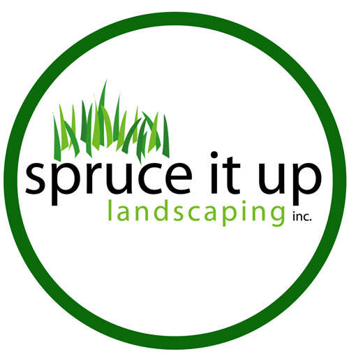 Spruce It Up