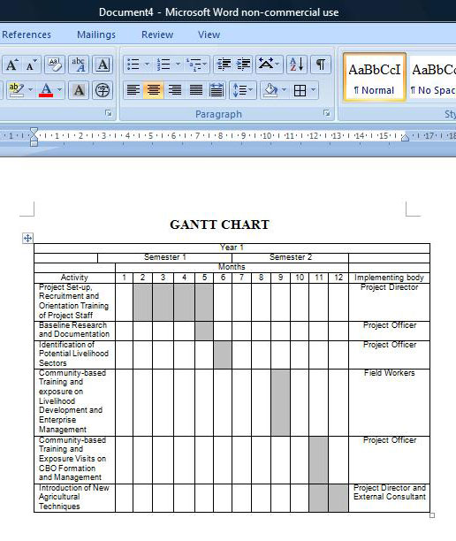 [Ganttchart.jpg]