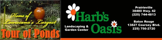 Harbs Oasis - Official Garden Center Blog