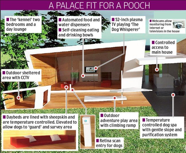 a palace fit for a pooch