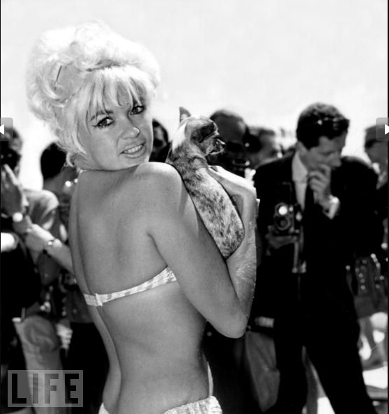 Cannes Film Festival Classic Cannes Photos Then And Nowcelebrity Sex Tapes 2013