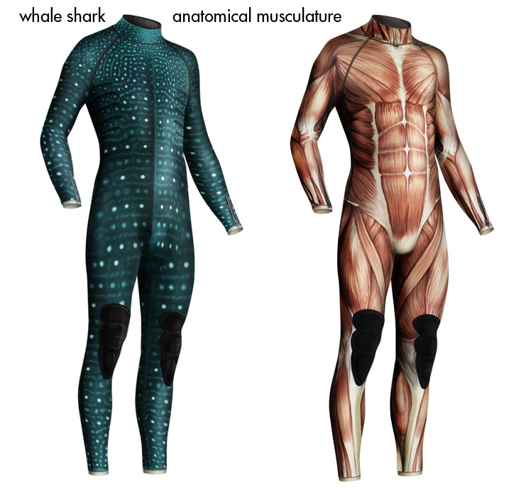 Witty Wetsuits by Diddo - if it's hip, it's here