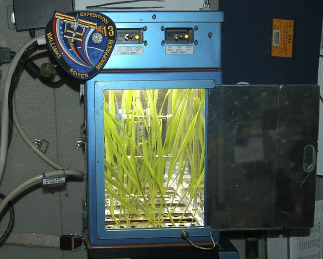 growing hops from space
