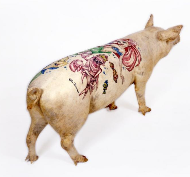 tattooed stuffed pigs