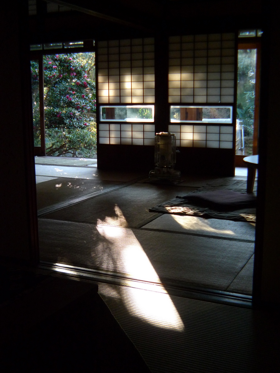 Discovery Organic Life 自然探しの生活 冬の木漏れ日たち