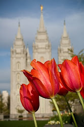 We are members of The Church of Jesus Christ of Latter-day Saints. Find out what we believe!