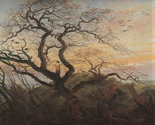 El árbol de los cuervos