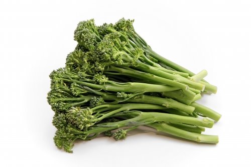 [1_broccoli[1].jpg]