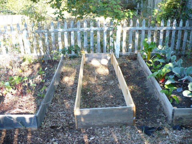 [raisedbeds.JPG]