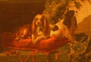 [dogpictures+007.JPG]