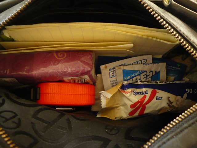 [purseinside.JPG]