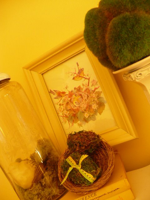 [thriftstorepic.JPG]