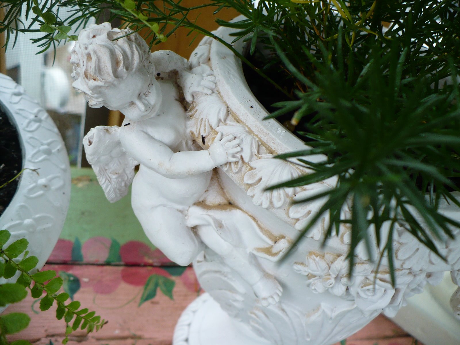 [urns&ferns+012.JPG]