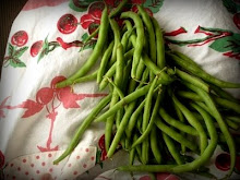 Dilly Beans