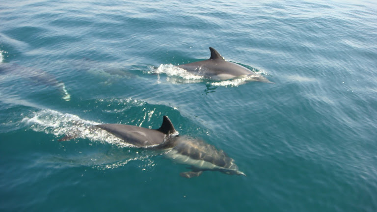 vu dans notre quartier en février
