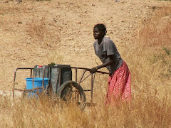 TRANSPORT D'EAU