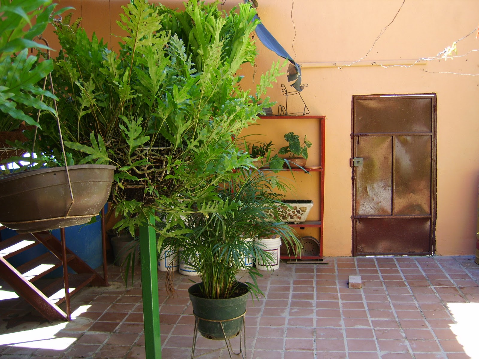 Se vende casa en Maracay