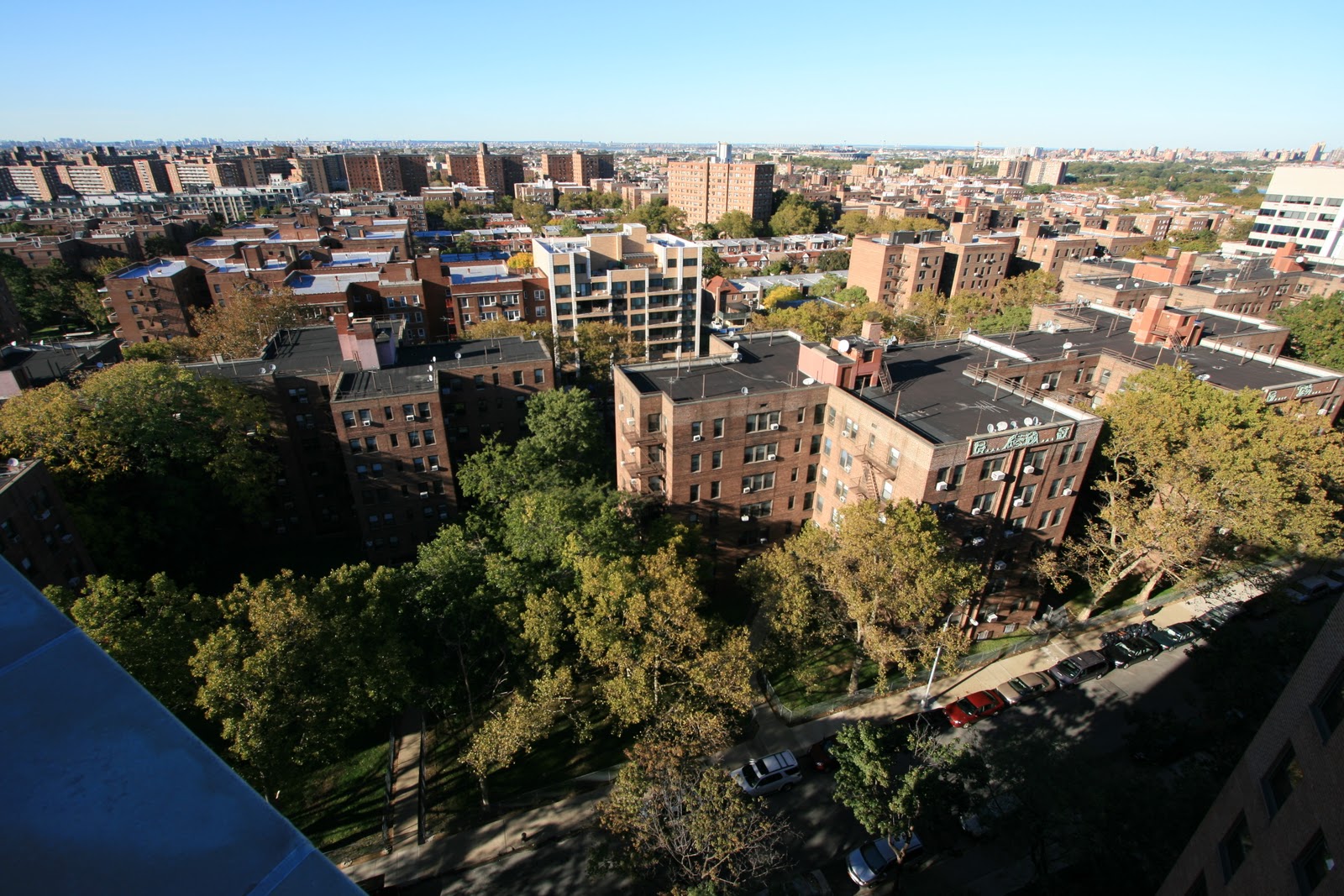 RegoForest Preservation Council Photo Series Eye Above Forest Hills