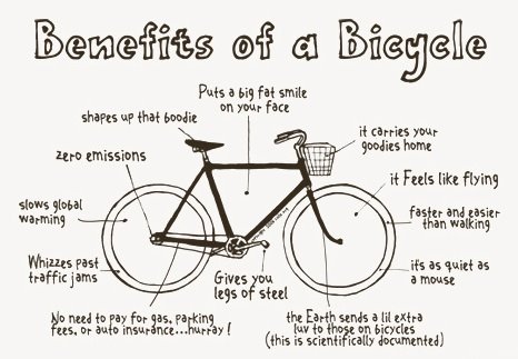 [bicycleviafrolic.jpg]