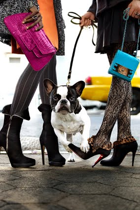 [200911-omag-boot-trendsdogs5.jpg]
