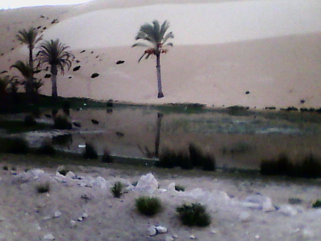 [DSC_0000044.jpg]