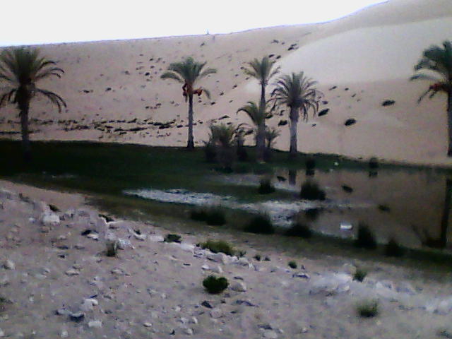 [DSC_0000045.jpg]