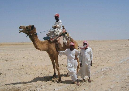 Arabia y  Libro de Mormón