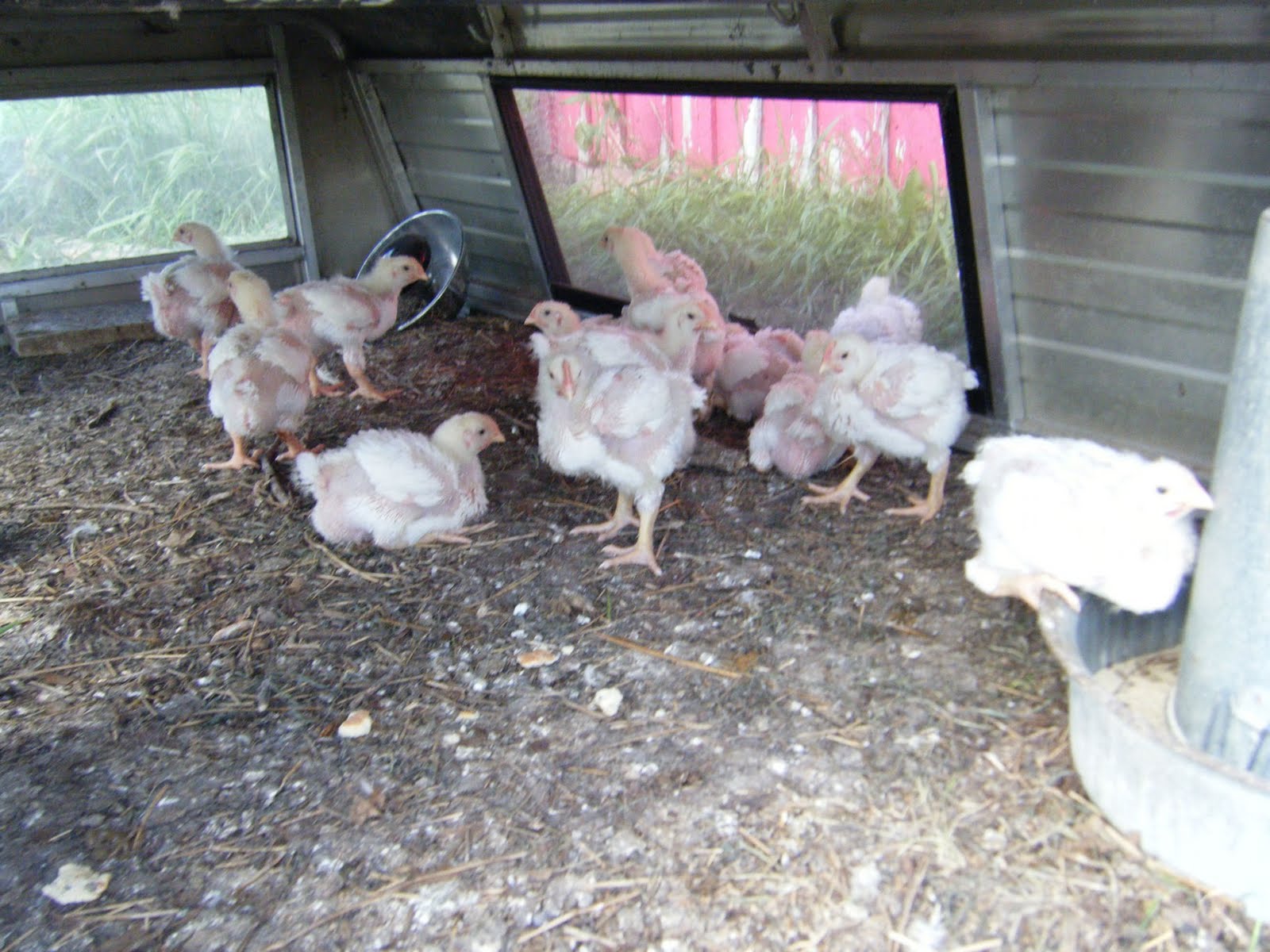 functional-farm-unleashed-pig-pen-construction-step-3-and-more