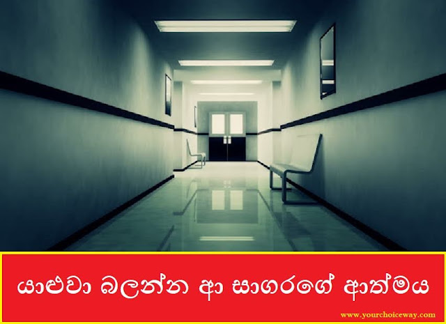 යාළුවා බලන්න ආ සාගරගේ ආත්මය (Sagara) - Your Choice Way