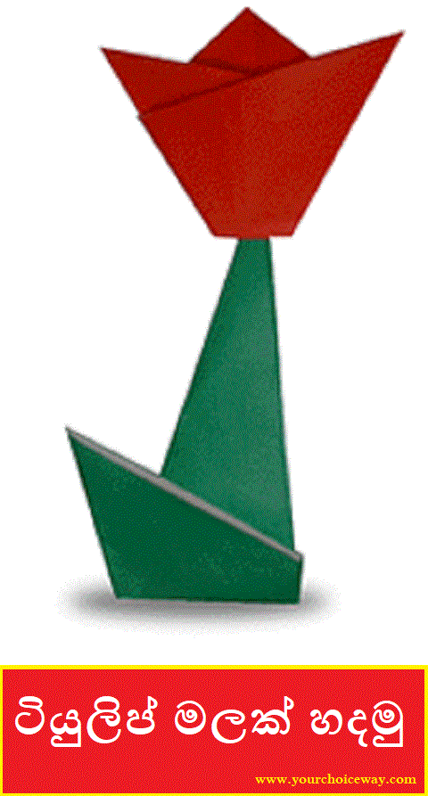 ටියුලිප් මලක් හදමු (Origami Tulip) - Your Choice Way