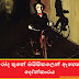 රෝද තුනේ බයිසි⁣කලෙන් ඇහෙන දෝන්කාරය (Bicycle)