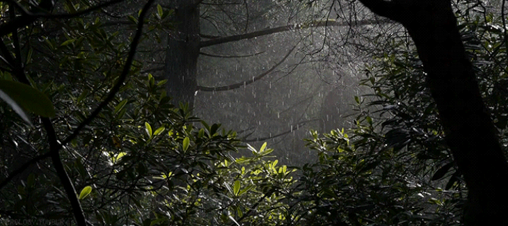 cCZpHHpGWKe4x016PcvPiQwg-L-UPS5Bap4XTQScoYlPSXWnC-8z2oPlL5kWH3he6824qmiHgNk6FTHXH7yFSZzQ59oHh3qRTaCgOi9oqT-HyQdR98x0lV1beFdBNQ9lMoEMCK4SciQRg95m6FWHdc0