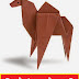 ඔටුවෙක්ව හදමු (Origami Camel)