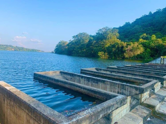 අග්‍රබෝ රජුගේ ගැඹුරින් වැඩිම - ගිරිතලේ වැව 🌿☘️🎋 (Girithale Lake) - Your Choice Way